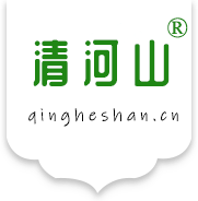 武汉小榕树科技